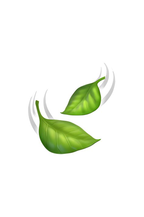 The emoji 🍃 depicts a green leaf with a stem, fluttering or swaying in the wind. The leaf has a slightly curved shape and is shown with a few veins running through it. The movement of the leaf is conveyed by a series of diagonal lines behind it, which represent the wind blowing it back and forth. Overall, the emoji gives the impression of a fresh, natural, and breezy atmosphere. Wind Emoji, Planet Emoji, Green Emoji, Leaves Blowing, Emoji Tattoo, Iphone Png, Emojis Iphone, Apple Emojis, Leaf Icon