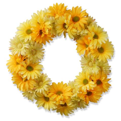 National Tree Company 19" Garden Accents Artificial Yellow Cosmos Floral Wreath Front Door Porch Ideas, Door Porch Ideas, Yellow Cosmos, Pine Cone Wreaths, Yellow Inspiration, Spring Door Decoration, Summer Mesh Wreaths, Yellow Wreath, Artificial Christmas Wreaths