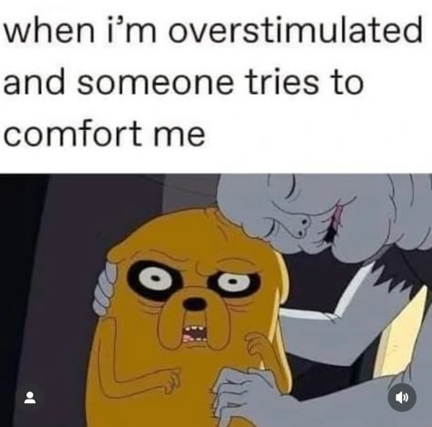 Adventure Time Meme, Over Stimulated, Chill At Home, Time Meme, Nalu, Funny Reaction Pictures, Silly Me, Matilda, Reaction Pictures