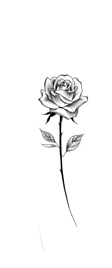 Rose Without Stem Tattoo, Rose Drawing Black And White, Rose And Stem Drawing, Rose Stem Tattoo Stencil, Single Stem Rose Tattoo Design, Simple Rose Tattoos For Women, Rose Tattoos Black And White, Rose Black And White Tattoo, Rose And Stem Tattoo Design