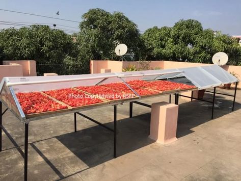 22-YO Invents Solar Dryer To Help Boost Farmer Incomes! Solar Tunnel, Solar Food Dehydrator, Solar Dryer, Growing Stevia, Solar Dehydrator, Fruit Dryer, Agriculture Technology, Food Dryer, Food Wastage