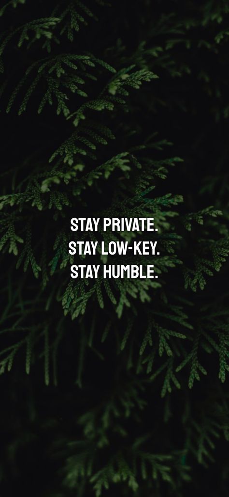 Low Key Quotes, Stay Humble Quotes, Stay Private, Stay Low Key, I Believe In Myself, Humble Quotes, Believe In Myself, Key Quotes, I Love Myself