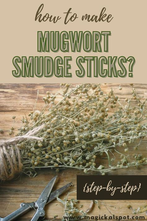 In this article, we'll learn How to Make a Mugwort Smudge Stick by following our step-by-step guide! Let's begin! Mugwort Smudge Sticks, Mugwort Smudge, Smudge Sticks Diy, Druid Witch, Cleansing Spells, Herb Bundles, Artemisia Vulgaris, Modern Day Witch, Higher Vibration