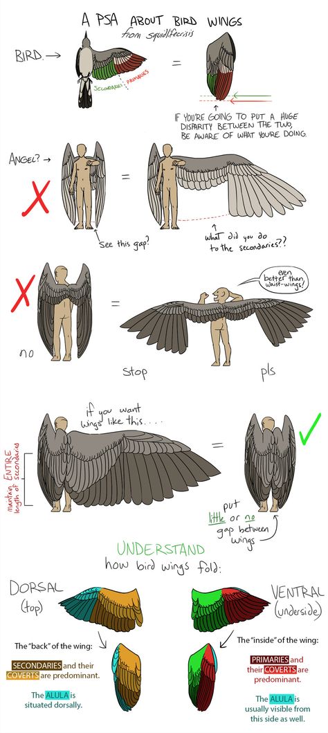 Wings Drawing, Bird Wings, 캐릭터 드로잉, Guided Drawing, Art Tutorials Drawing, Drawing Base, Drawing Poses, Drawing Reference Poses, Drawing Tips