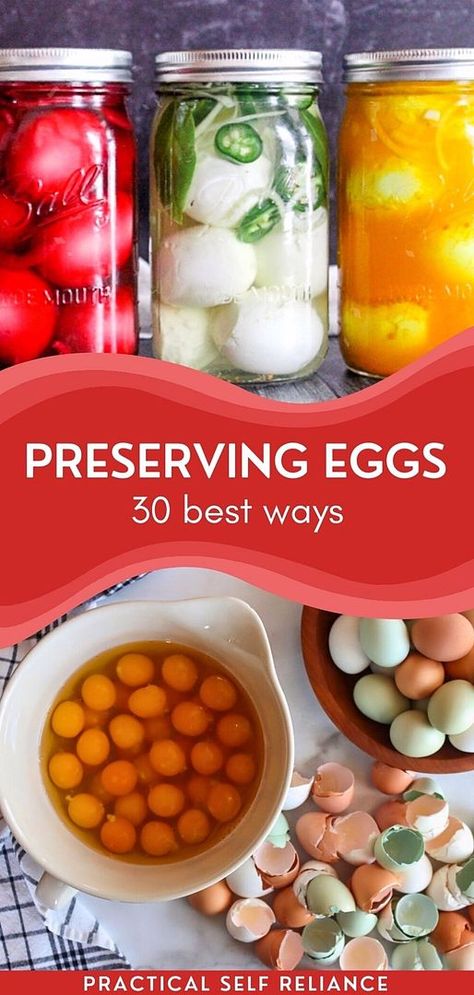 Preserving Eggs 30 Ways is your essential guide for prepper food storage. Understand various methods to preserve eggs, ensuring you have a steady supply in your emergency food stock. These tips are crucial for anyone focused on preparedness and self-reliance. Find more homesteading skills, homestead chickens, and historical food preservation at practicalselfreliance.com. Salt Cured Egg Yolks, Preserve Eggs, Preppers Food Storage, Preserving Eggs, Diy Food Storage, Storing Food Long Term, Cured Egg Yolk, Pickled Eggs Recipe, Historical Food