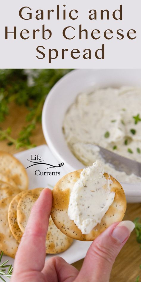 I'm holding a cracker topped with Garlic and Herb Cheese Spread in front of a bowl full of spread and some crackers Garlic Herb Cheese Spread Recipe, Oatmeal Meatloaf, Garlic Herb Cheese, Museum Statues, Cream Cheese Spread Recipes, Cheese Spread Recipes, Spreadable Cheese, Homemade Ideas, Homemade Crackers