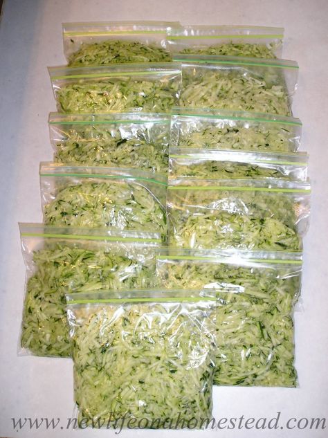 Freeze Shredded Zucchini, Zucchini Zoodles, Parmesan Zucchini Chips, Freezing Zucchini, Freezing Vegetables, Zucchini Chips, Shredded Zucchini, Frozen Veggies, Freezer Cooking