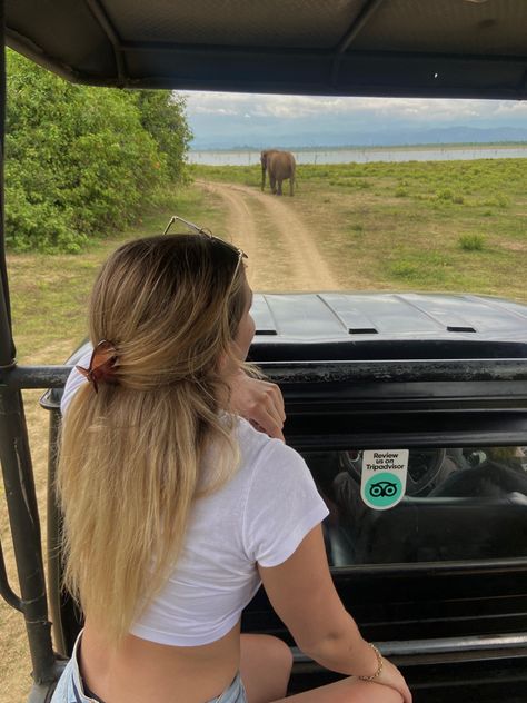 I visited Udawalawe National Park, Sri Lanka for an Elephant safari. Insta: @tahliamaay Youtube: Tahli + Sam You can also visit Yala national park, Habarana Elephant Safari or Kaudulla National Park. Habarana Sri Lanka, Elephant Safari, New South Wales Australia, July 2022, An Elephant, South Wales, New South Wales, Sri Lanka, Wales