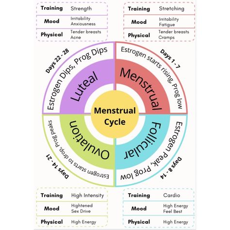 Cycle is everything Feminine Cycle, Menstrual Cycle Chart, Workout Cycle, Hormone Nutrition, Menstrual Cycle Phases, Ovulation Cycle, Period Cycle, Healthy Hormones, Menstrual Health