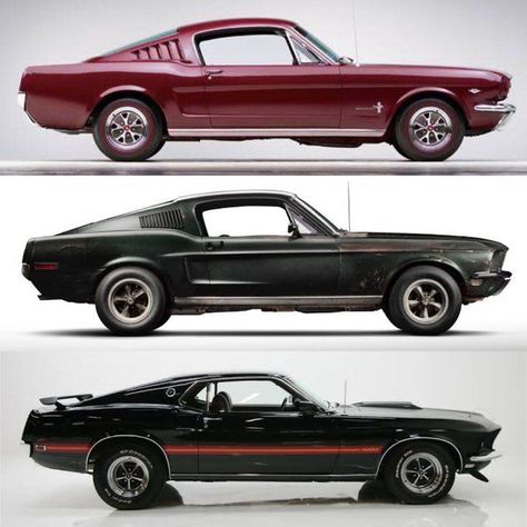 Mustang Fastback 1965, 1967 y 1969. 1969 Mustang Fastback, 68 Mustang Fastback, Ford Mustang 1965, 1967 Mustang, Old Muscle Cars, Ford Mustang Fastback, Vintage Muscle Cars, Classic Mustang, Old School Cars