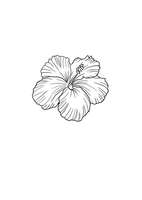 Costa Rica Flower Tattoo, Hibiscus Tattoo Stencil, Hibiscus Tattoo Design, Frangipani Tattoo, Tropical Flower Tattoos, Hibiscus Drawing, Word Art Drawings, Small Geometric Tattoo, Matching Bff Tattoos