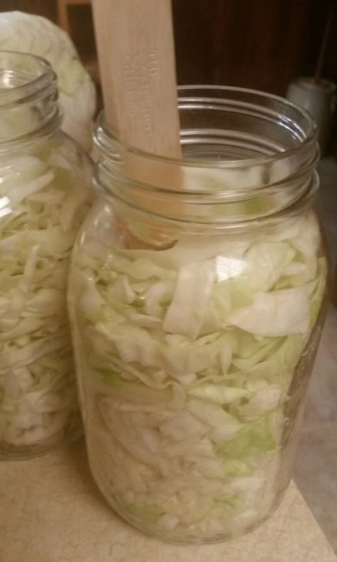 Canning Cabbage – Preserving the Good Life Canning Kraut In Jars, Cabbage Canning, Canned Cabbage, Canning Cabbage Recipes, Canning Sauerkraut, Canning Cabbage, Summer Canning, Canning Water, Freezing Recipes