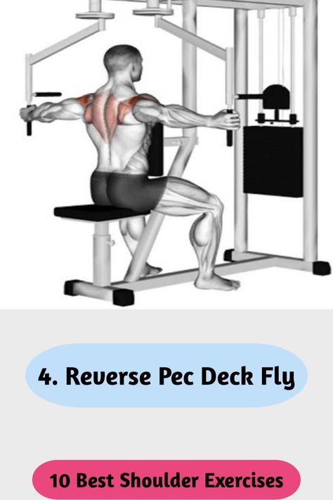 Shoulder Exercise Reverse Pec Deck, Pec Deck Fly, Pec Deck, Shoulder Exercise, Shoulder Workouts, Best Shoulder Workout, Shoulder Exercises, Shoulder Day, Shoulder Workout