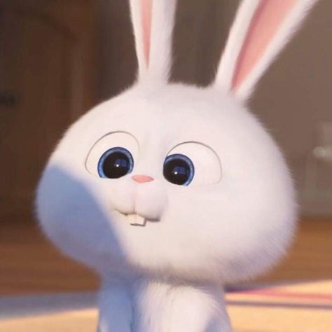 Snowball Rabbit Wallpaper, Rabbit Cute Wallpaper, Snowball Rabbit, Rabbit Wallpaper, Cute Bunny Cartoon, Secret Life Of Pets, Secret Life, The Secret