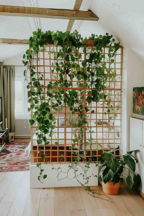 Spiritual Center, Diy Room Divider, Studio Apartment Ideas, Pallet Garden, Divider Wall, Small Balcony Ideas, Room With Plants, Room Dividers, Entrance Decor