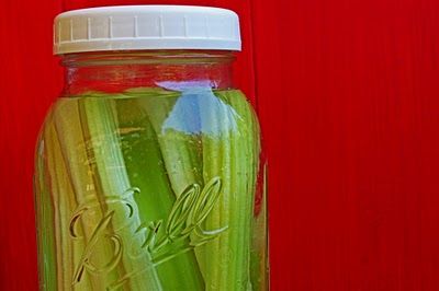 Summertime Celery Water  1 bunch celery pinch sea salt lemon juice sweetener of choice (optional) Celery Water, Salad Dinner, Liquid Eggs, Pickle Jar, Dinner Salad, Pickle Jars, Ice Cube Trays, Ziplock Bags, Tuna Salad