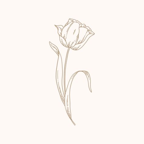 Tulip Illustration Tulip Graphic Design, Tulip Illustration Simple, Rose Illustration Design, Fine Line Tulip, Tulip Outline, Flower Illustration Simple, Tulip Line Art, Tulip Sketch, Tulip Flower Drawing