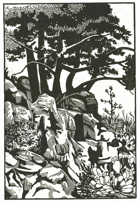 Linocut Rocks, Linocut Landscape Black And White, Woodcut Landscape, Trees Linocut, Tree Linocut, Linocut Tree, Linocut Landscape, Screen Printing Art, Woodcut Art