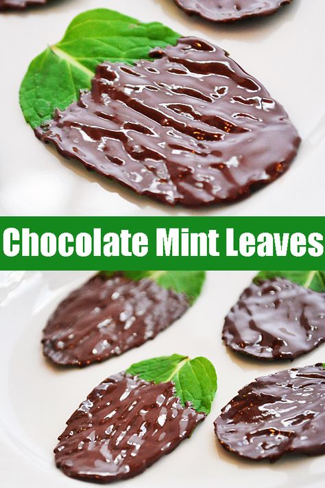 Chocolate Covered Mint Leaves, Candied Sage Leaves, Sugared Mint Leaves, Candied Mint Leaves, Fresh Spearmint Recipes, Natural Recipes Food, Recipes With Spearmint Leaves, Fresh Mint Desserts, How To Use Mint Leaves