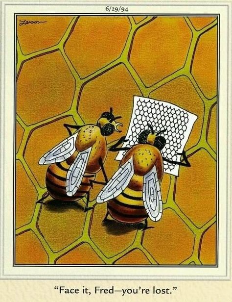 Bee Humor #beekeepingideas Bee Humor, Gary Larson, I Love Bees, Bees And Wasps, Bug Art, Bee Inspired, Bee Mine, Bee Crafts, Bee Art