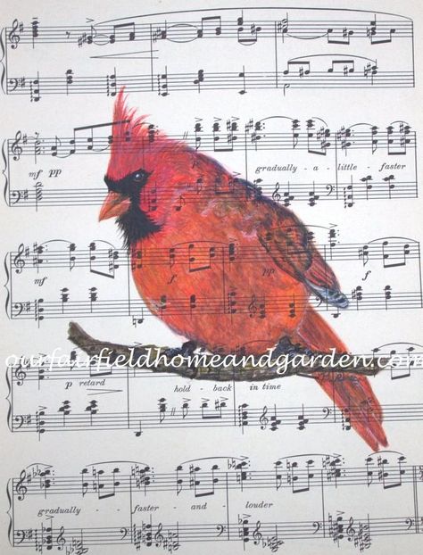 Cardinal Watercolor Painting, Cardinal Watercolor, Sheet Music Art, Watercolor Art Journal, Music Drawings, Music Crafts, Watercolor Mixing, Botanical Illustration Vintage, Music A