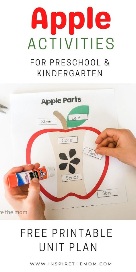 Planning an apple-themed unit? Check out this huge list of apple activities for preschool and kindergarten. #apple #theme #unit #appleunit #preschool #kindergarten #books #picturebooks #activities #applecrafts #math #props #literacy #homeschool #classroom #kids #learn #resources #printable #falltheme #fall #autumn Apple Lesson Kindergarten, Apple Preschool Lesson Plans, Apple Units For Kindergarten, Apple Curriculum Kindergarten, Apple Theme For Preschoolers, Apple Unit Study Free Printables, Homeschool Apple Unit Study, Apple Unit Kindergarten Free Printable, Free Printable Apple Activities