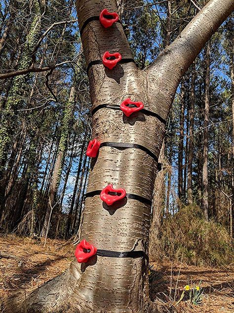 Backyard Gym Ideas, Gym Backyard, Obstacle Course For Kids, Kids Climber, Green Roof Garden, Playground Accessories, Backyard Obstacle Course, Rock Climbing Holds, Backyard Gym