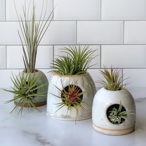 Air Plant Pottery, Ceramic Air Plant Holder, Pottery Air Plant Hanger, Pottery Hanging Planter, Wheel Thrown Plant Pots, Ceramic Airplant Holder, Air Plant Crochet Hanging Planters, Air Plant Display, Pottery Form