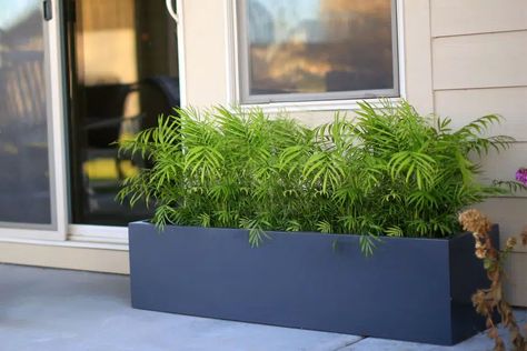 Fiberstone vs. Fiberglass: Which Material is Best for Your Planter Project? - Jay Scotts Collection Long Planter, Florida Pool, Rectangle Planters, Contemporary Planters, Yard Party, Fiberglass Planters, Rectangular Planters, French Windows, Planter Design