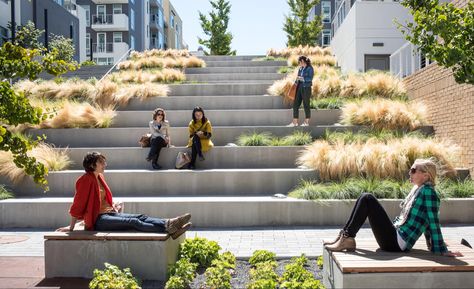 Landscape Architecture Park, Terraced Landscaping, Landscape Stairs, Landscape Steps, Stairs Architecture, Park Landscape, Outdoor Stairs, Landscape Architecture Design, Urban Park