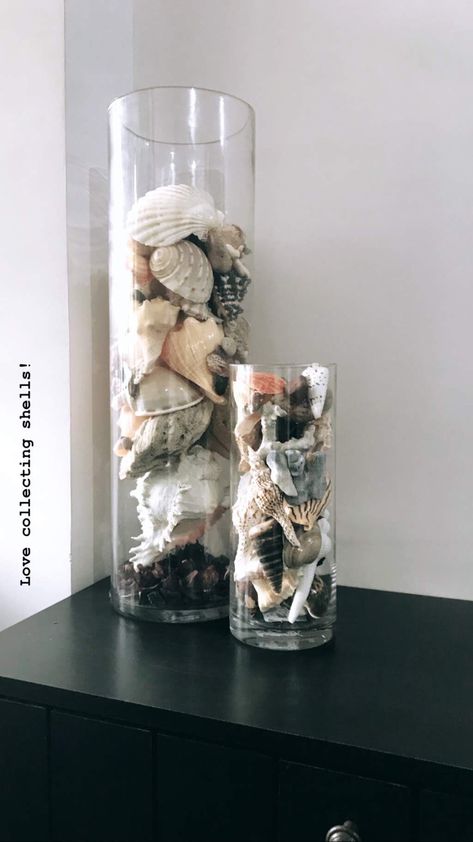 Stones And Shells Ideas, Vase With Seashells, Seashells In Glass Containers, Shells Display Ideas, Seashell Vases Ideas, How To Decorate With Seashells, Beach Shells Display, Conch Shell Decor Ideas, Seashell Containers