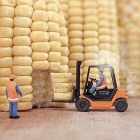 Corn Tatsuya Tanaka, Miniature Calendar, Miniature People, Macro Photographers, Miniature Photography, Tiny People, Deco Originale, Corn On The Cob, Tiny World