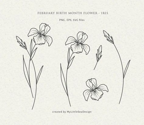 Birth Flower February Tattoo, Tattoo Lilly, February Birth Month Flower, Birth Month Flower Svg, Birth Flower Svg, Violet Flower Tattoos, Iris Flower Tattoo, Iris Drawing, College Christmas