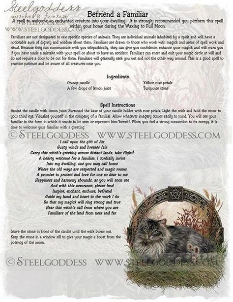 BOS Familiar Spell, Wicca Spells, Simple Magic, Book Of Spells, Wiccan Witch, Eclectic Witch, Wicca Witchcraft, Witch Spell, White Magic