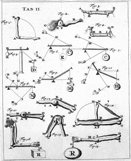 Bio mechanical terminology Biomechanics Art, Biomechanics Study, Ruler Tattoo, Bio Mechanical, Finite Element Method, Cell Organelles, Tissue Engineering, Fluid Mechanics, Mechanical Art