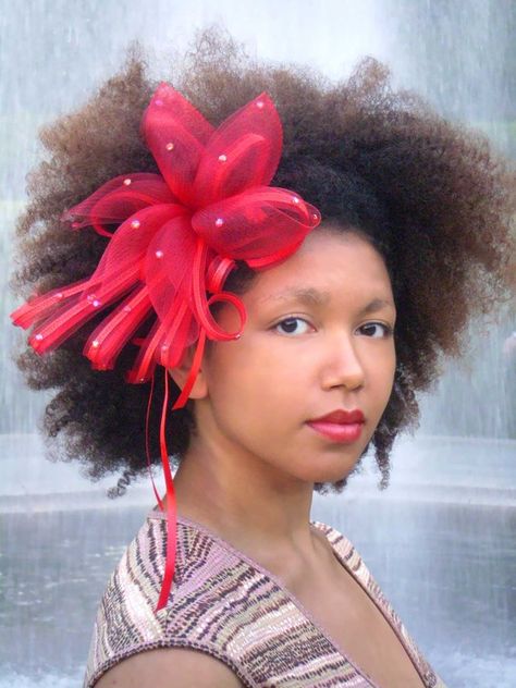 I am definitely into this, but with some modifications. Fascinator Hairstyles Long, Hair Accessories Headband, Natural Hair Accessories, Transitioning Hairstyles, Fascinator Hairstyles, Ethnic Hairstyles, Beautiful Natural Hair, Natural Styles, Afro Hair