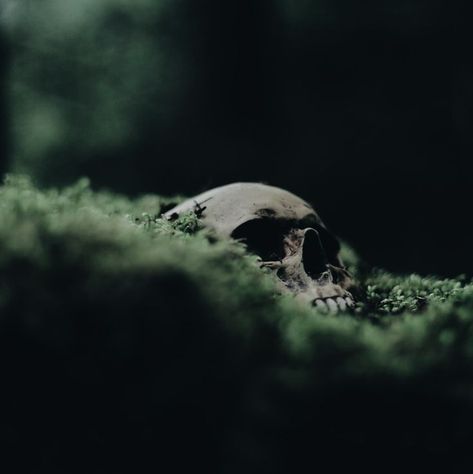 Moss Covered, A Skull, The Middle, Black And White, Green, White, Black