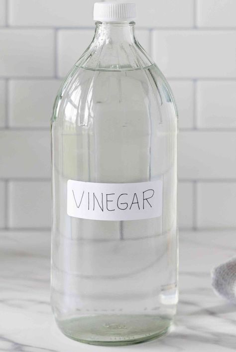 Uses For Vinegar, Cleaning Vinegar, Listerine Mouthwash, Easy Home Organization, Cleaning Your House, Infographic Inspiration, Sick Remedies, Vinegar Uses, Cleaning Guide