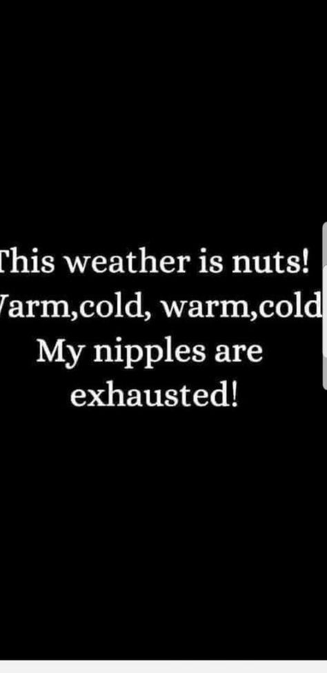 Funny Quotes About Cold Weather, Bed Weather Quotes, Cold Outside Humor, Cuddle Weather Quotes, Funny Cold Weather Quotes, Winter Morning Aesthetic, Cold Meme, Cold Weather Funny, Cold Weather Quotes