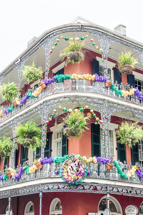 Mardi Gras Astetic, Mardi Gras In New Orleans, Mardi Gras Photography, Louisiana Mardi Gras Aesthetic, Mardi Gras Louisiana, New Orleans Mardi Gras Aesthetic, New Orleans Themed Party, Mardi Gras Aesthetic, Marti Gra