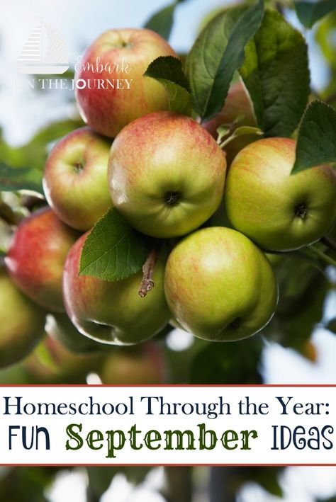 September Elementary Activities, Homeschool Apple Activities, September Homeschool Activities, September Unit Studies, Apple Unit Study 3rd Grade, September Homeschool Themes, Fall Homeschool Ideas, September Homeschool Ideas, Fall Homeschool Activities