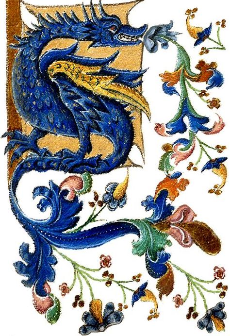 Medieval Pictures Art, Medieval Art Dragon, Dragon Vintage Illustration, Medieval Illustration Art, Medieval Bird Illustration, Medieval Animals Illustrations, Arts And Crafts Painting, Dragon Folk Art, Medevil Dragon