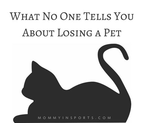 Losing A Cat Quote, Treat Quotes, Shy Cat, Eating Less, Pet Remembrance, A Skeleton, Cat Memorial, Pet Hacks, Cat Quotes