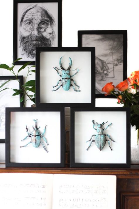 Taxidermy Bugs, Entomology Decor, Taxidermy Diy, Science Halloween, Bug Taxidermy, Oxidised Copper, Taxidermy Decor, Insect Taxidermy, Taxidermy Art