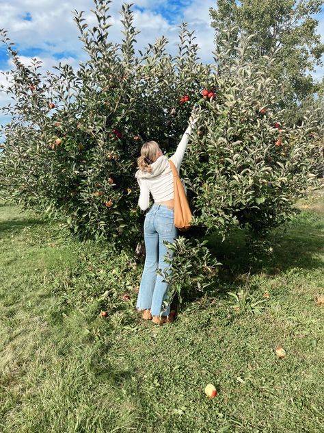 Apple Picking Aesthetic Fall, Jeans Baggy Outfit, Apple Picking Pictures, Apple Orchard Pictures, Apple Picking Photos, Apple Picking Outfit Fall, Fall Apple Picking, October Pictures, Apple Picking Outfit