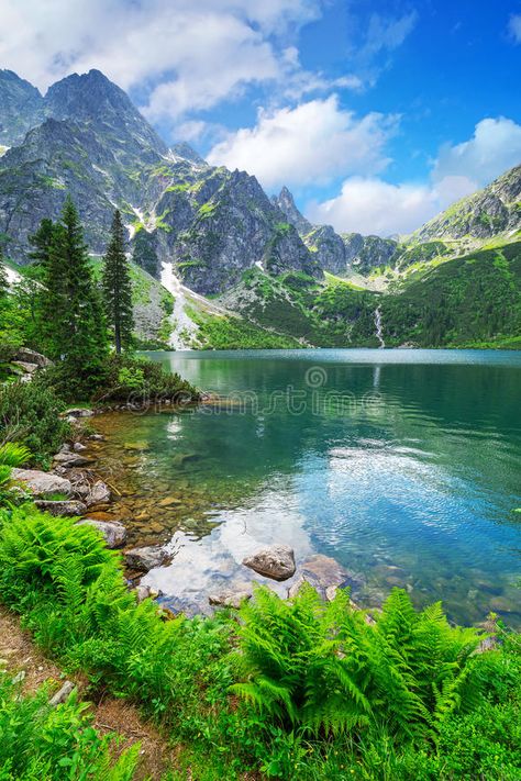 Tatra Mountains, Online Psychic, Voodoo Doll, Bob Ross, Psychic Reading, Beautiful Places In The World, Alam Yang Indah, Beautiful Mountains, Beautiful Nature Pictures