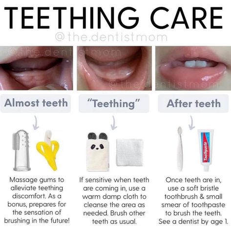 Baby Teeth Chart, Teething Tips, Teething Chart, Parenting Hacks Baby, Baby Notes, Fun Baby Announcement, Newborn Baby Tips, Baby Information, Newborn Mom