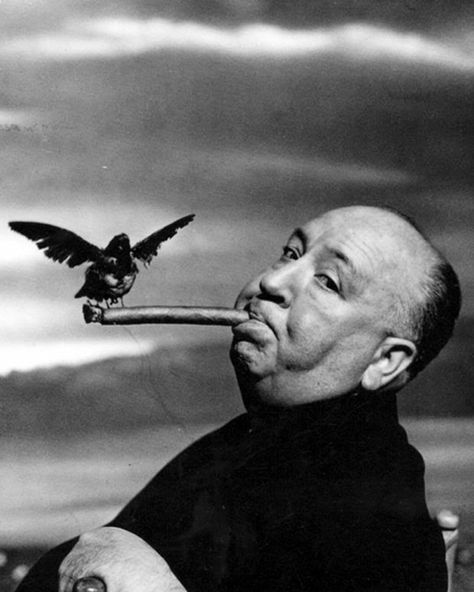 Famous Portrait Photographers, Alfred Hitchcock The Birds, Yousuf Karsh, Philippe Halsman, Famous Portraits, I Love Cinema, Christopher Nolan, Wes Anderson, Foto Art