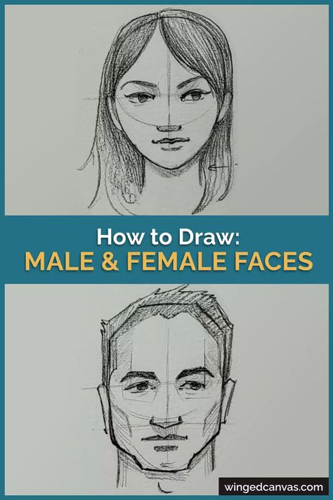 how to draw male and female faces Male Vs Female Face Drawing Reference, Male Vs Female Face Drawing, Male Vs Female Face, How To Draw Faces, Masculine Traits, Male Vs Female, Facial Proportions, Female Face Drawing, Draw Faces