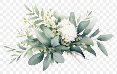 Leaves Bouquet, Eucalyptus Watercolor, Leaf Watercolor, Eucalyptus Bouquet, Watercolor Eucalyptus, Eucalyptus Leaf, Watercolor Green, Watercolor Png, Bouquet Flower